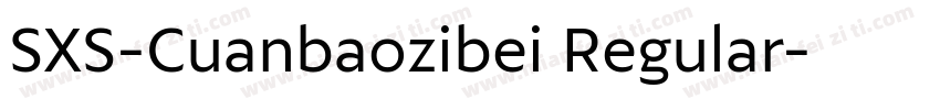SXS-Cuanbaozibei Regular字体转换